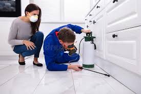 Real Estate Pest Inspections in Fritch, TX